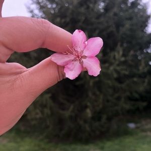 Meet your Posher, Michelle